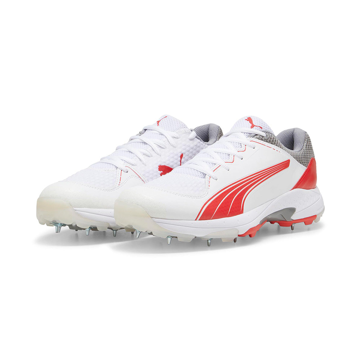 nike spikes cricket shoes price