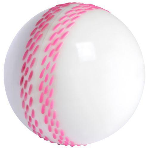 Gray-Nicolls Velocity Cricket Ball White
