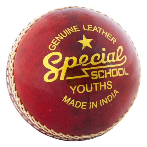 Readers Special School Cricket Ball Bulk Buy