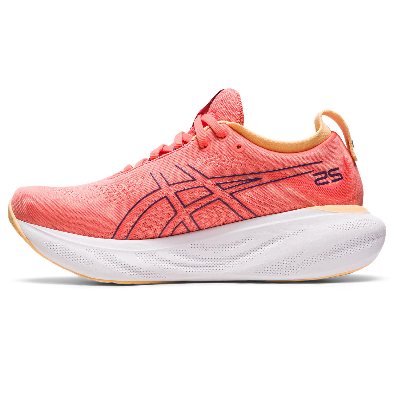 Asics Gel Nimbus 25 Womens Running Shoes