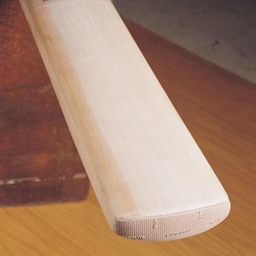 Gray-Nicolls Protectoe