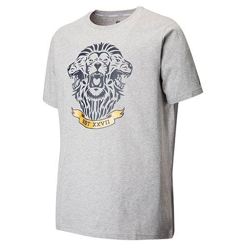 England Graphic Cricket Tee grey