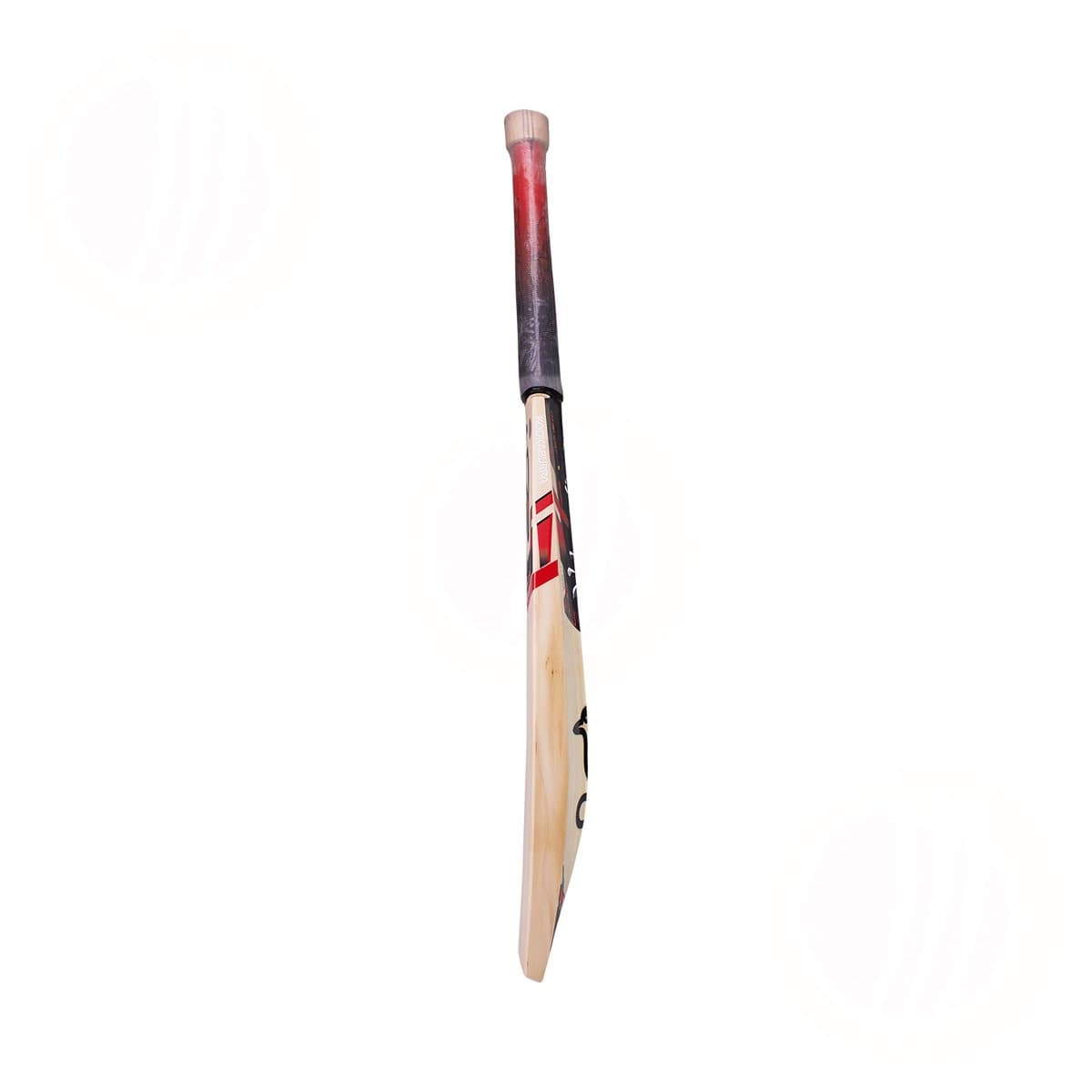 Kookaburra Beast 3.1 Cricket Bat - 2022