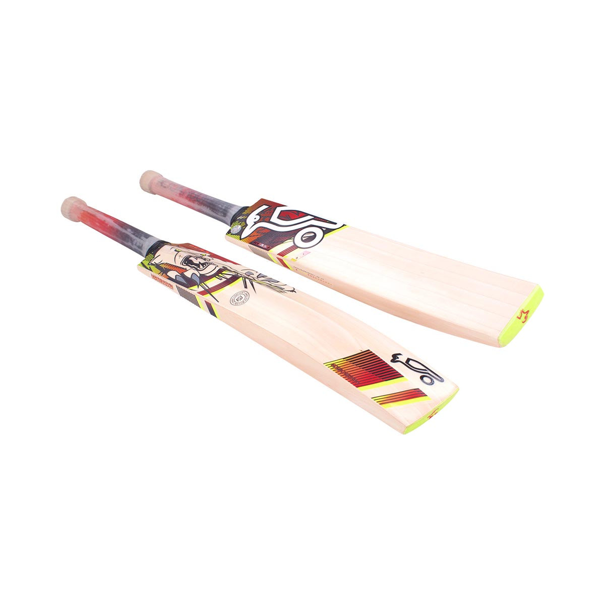 Kookaburra Beast 3.1 Cricket Bat - 2023