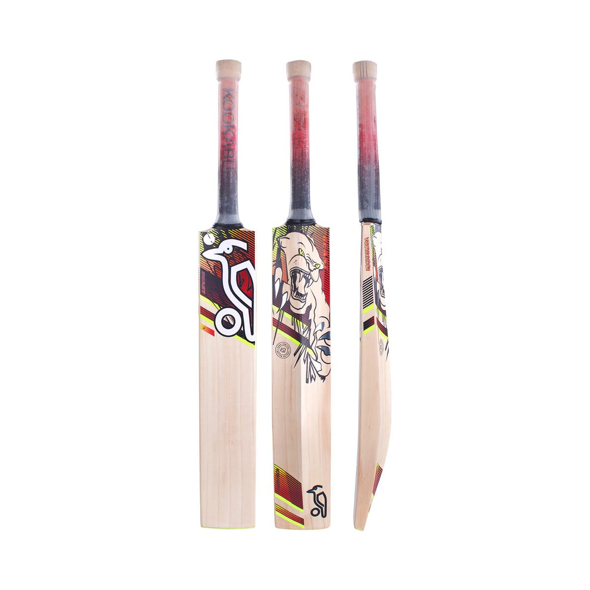 Kookaburra Beast 3.1 Cricket Bat - 2023