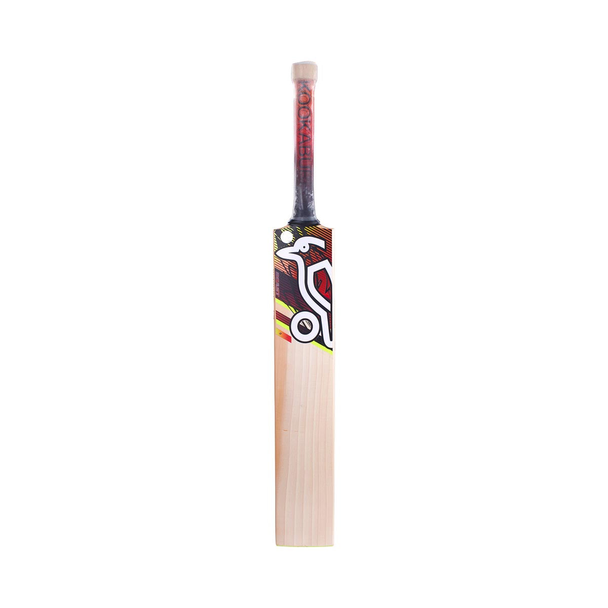 Kookaburra Beast 3.1 Junior Cricket Bat