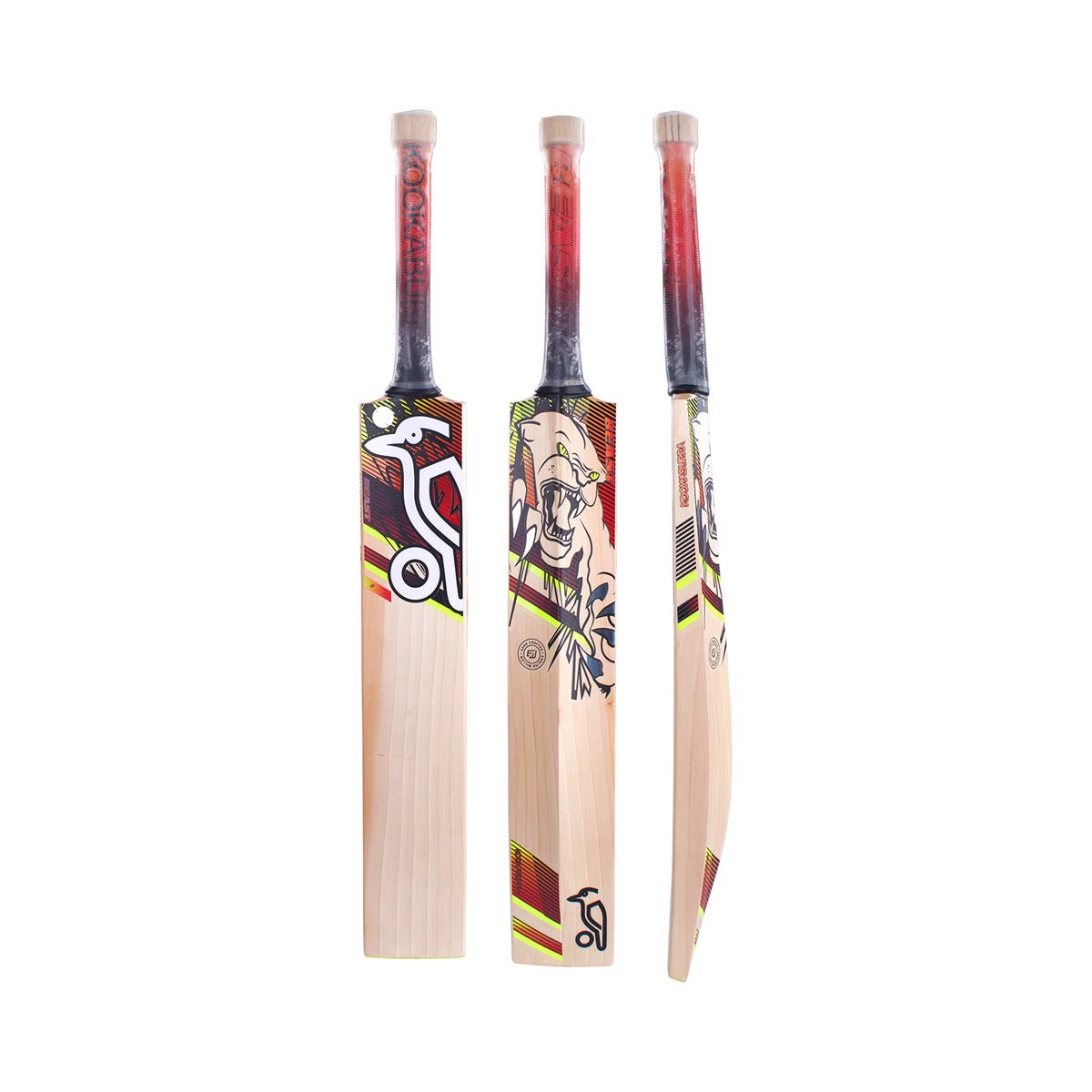 Kookaburra Beast 3.1 Junior Cricket Bat