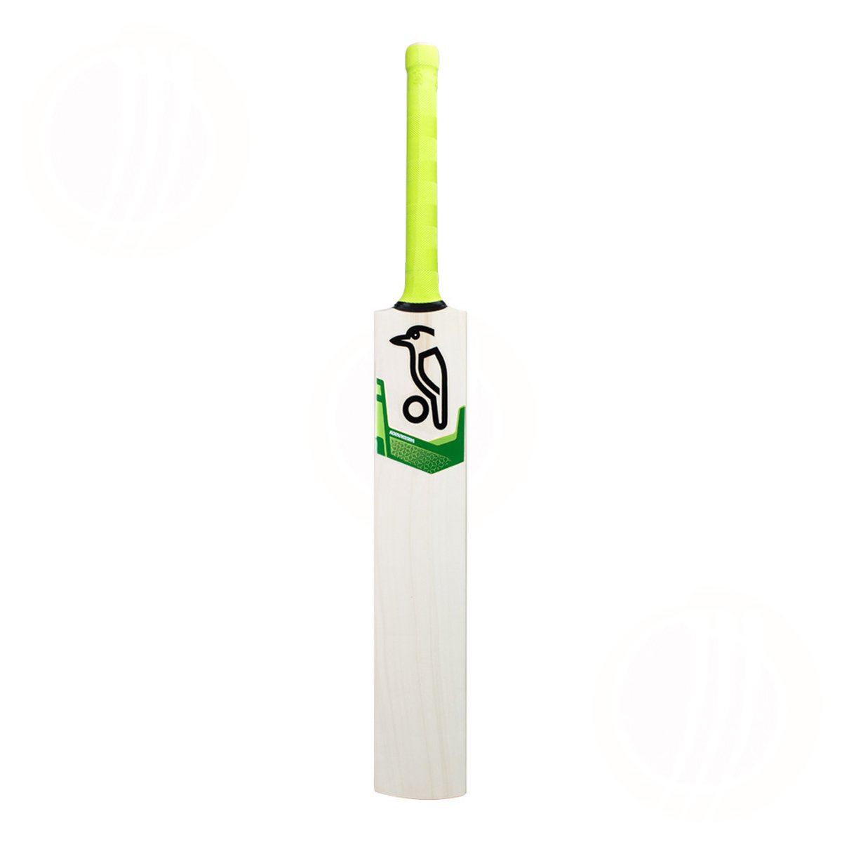 Kookaburra Autograph Bat