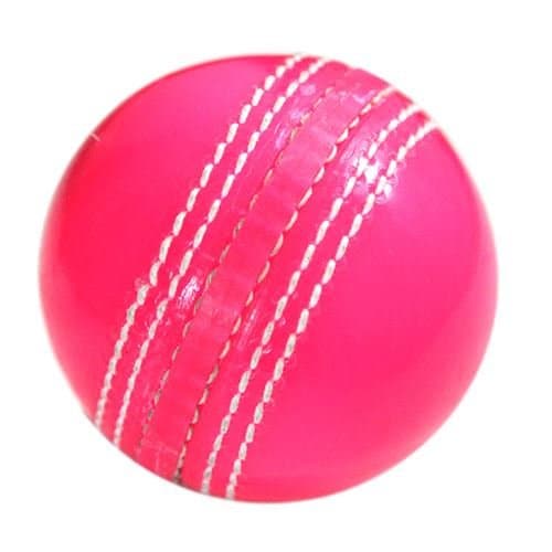 Bull Garden Cricket Ball