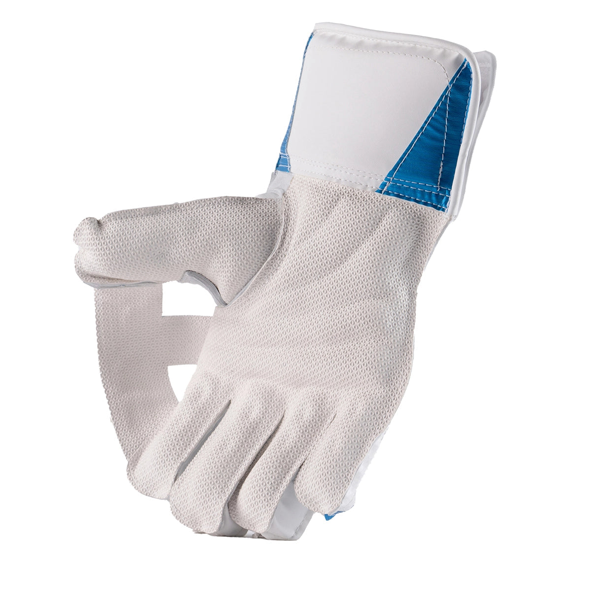 Gray-Nicolls Club Collection Wicket keeping Gloves