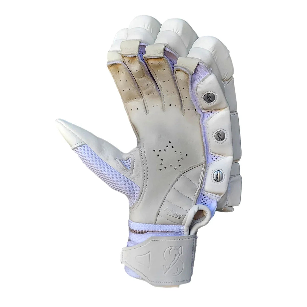 Salix AJK Cricket Batting Gloves