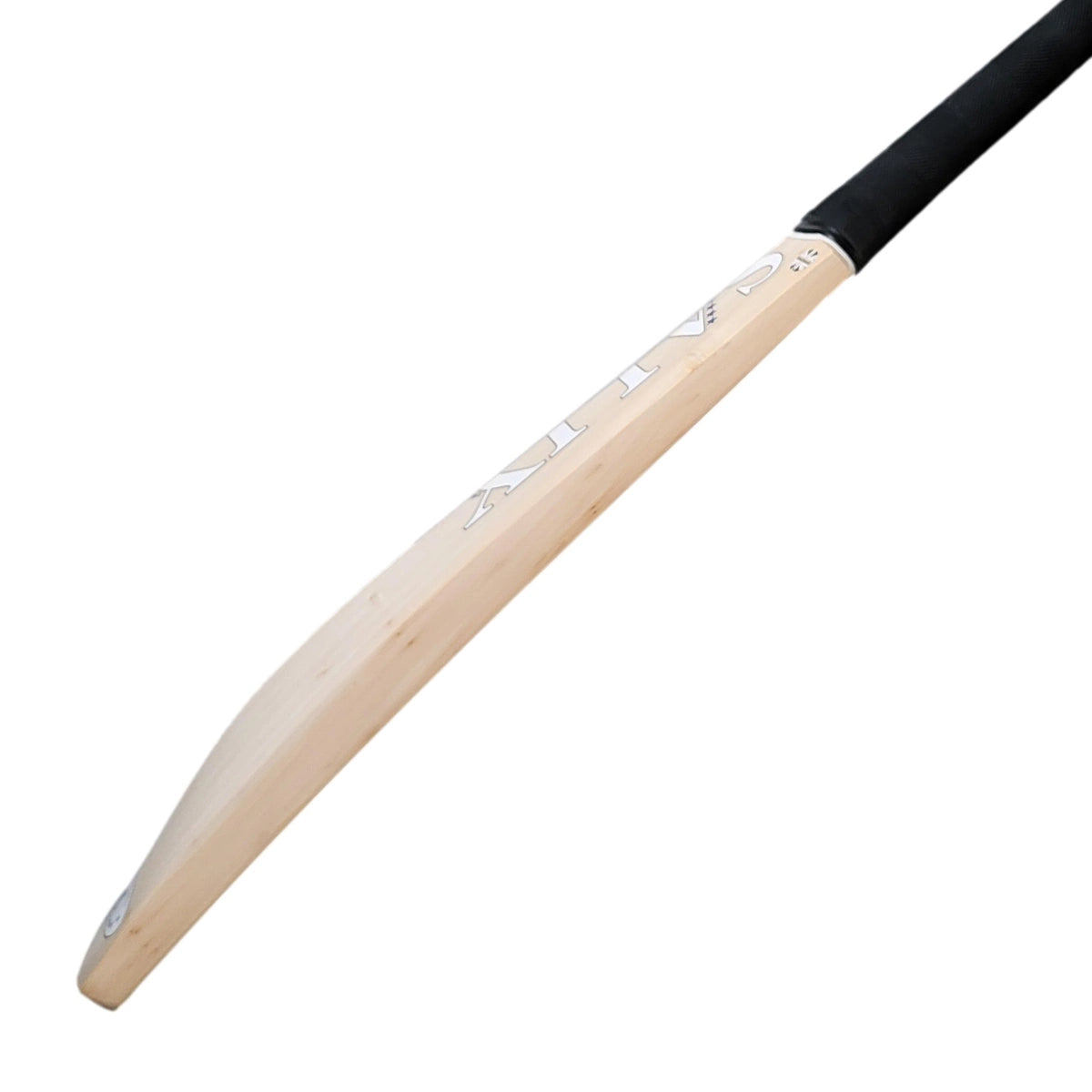 Salix Amp Performance Cricket Bat