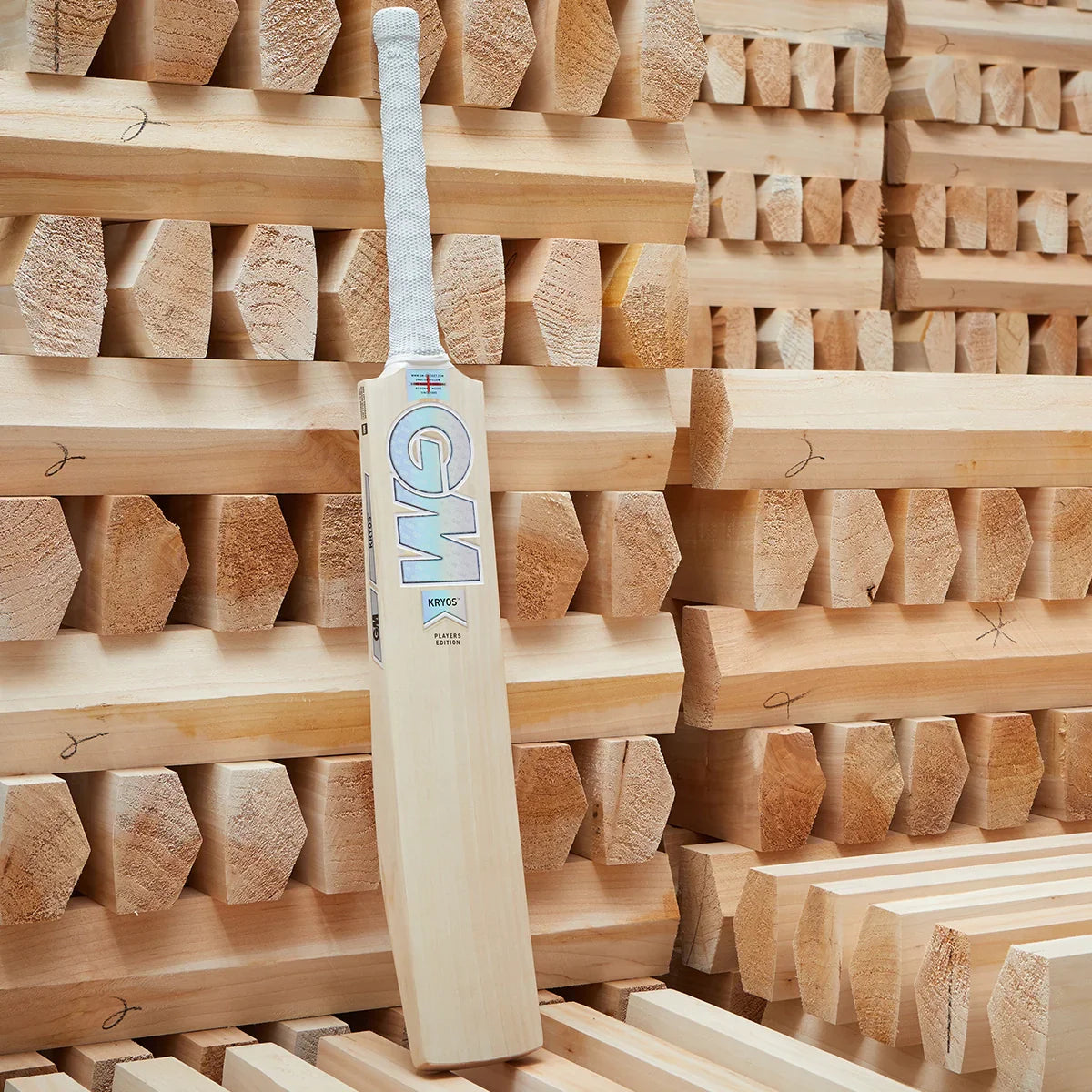 Gunn & Moore Ben Duckett Players Edition Cricket Bat