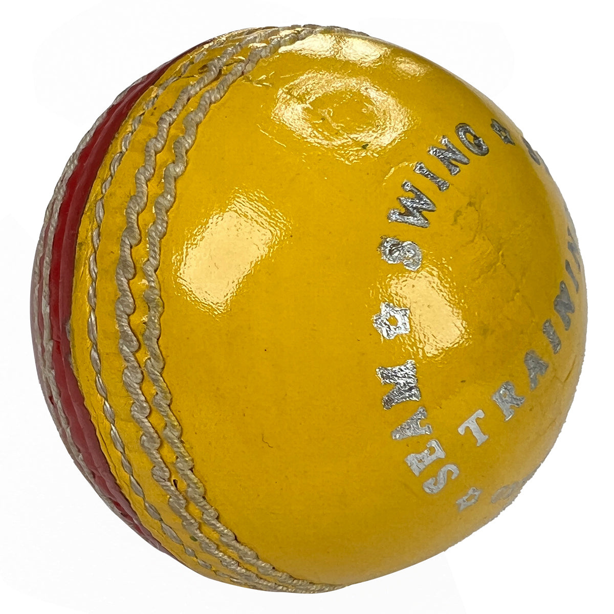 Bull Training Ball