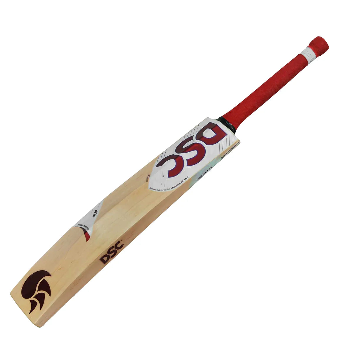 DSC Flip 1.0 Cricket Bat