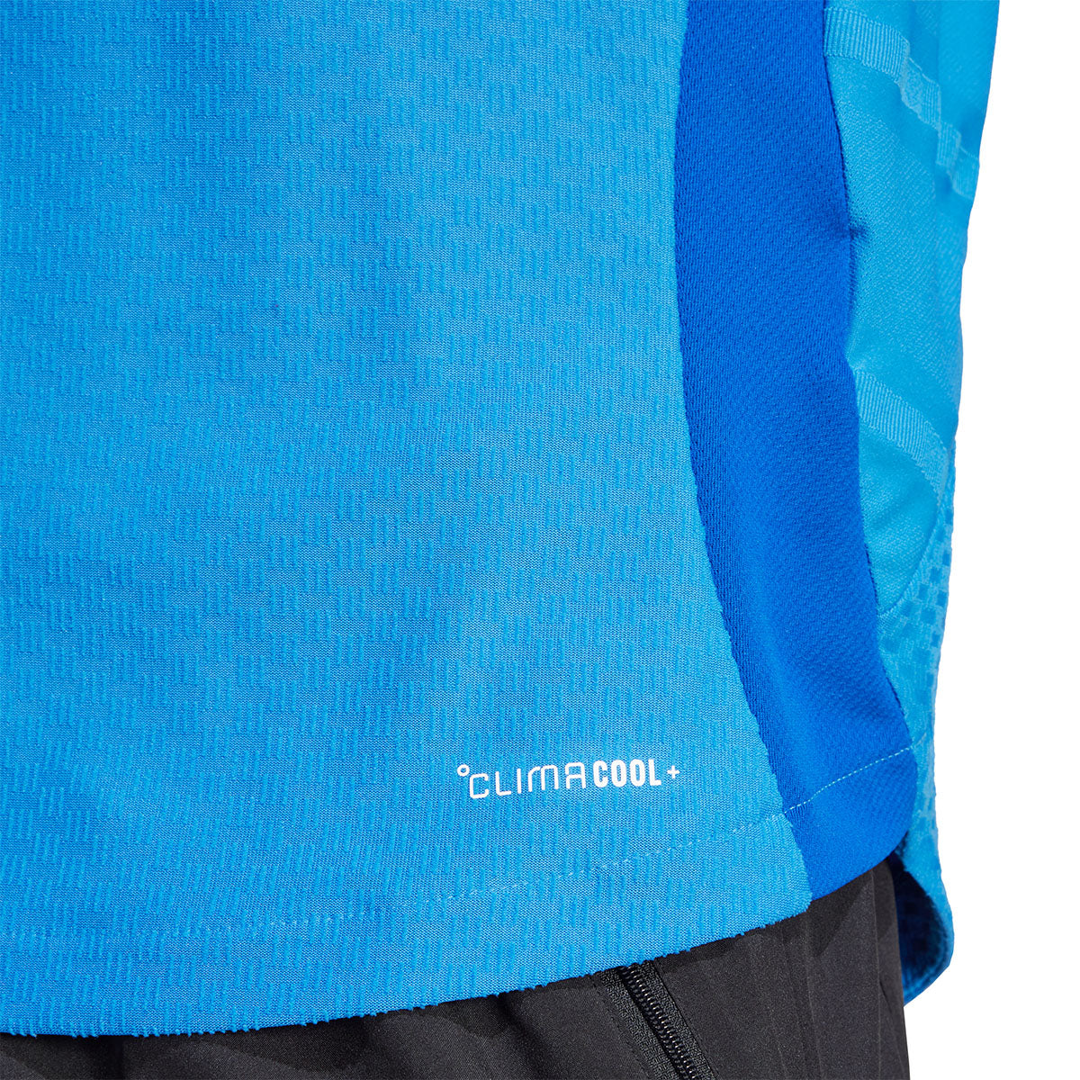 Adidas India ODI Short Sleeve Jersey