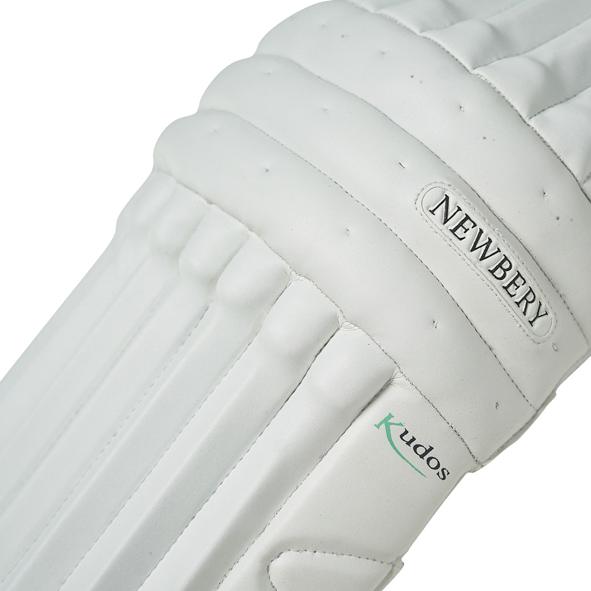 Newbery Kudos Cricket Batting Pads