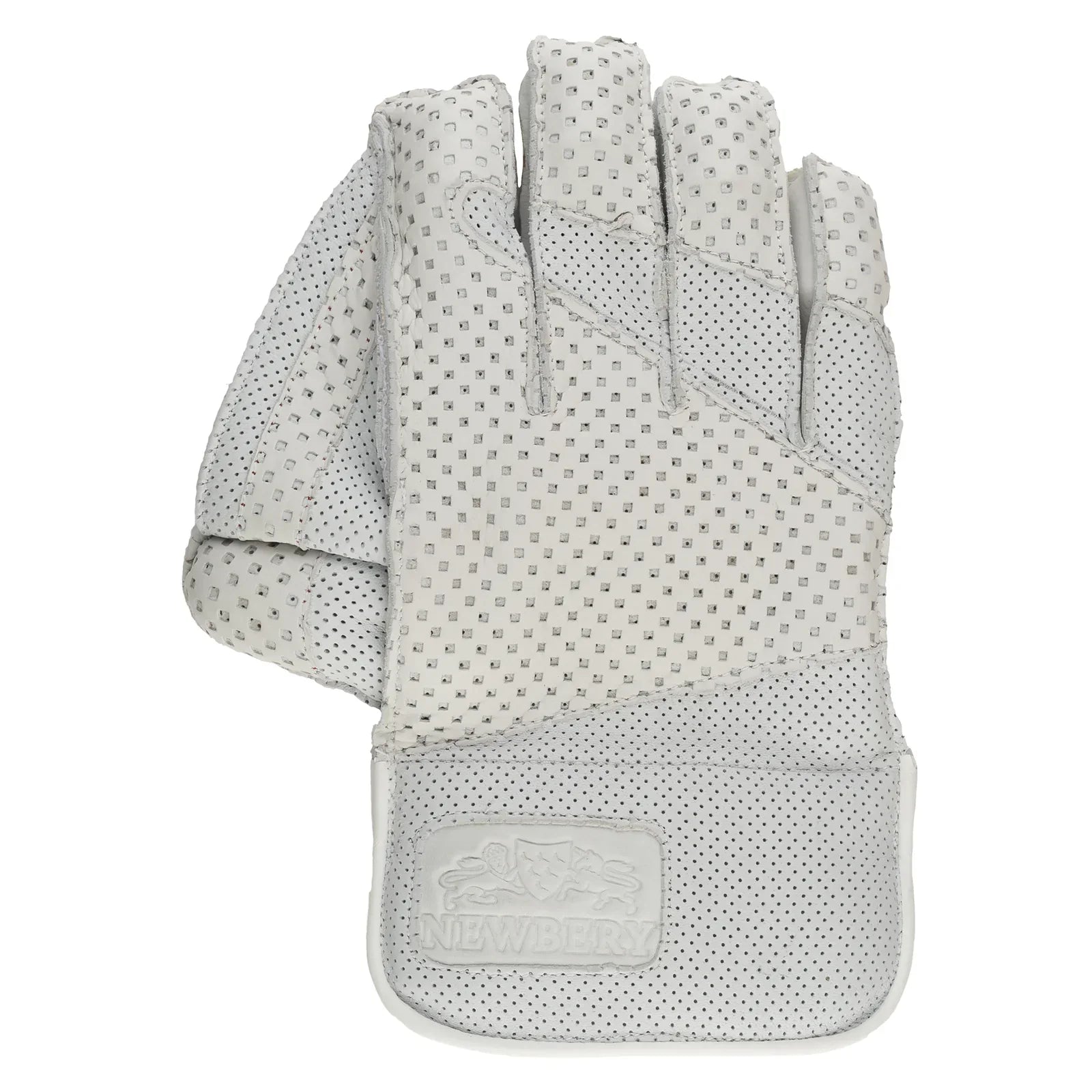 Newbery SPS Wicket Keeping Gloves