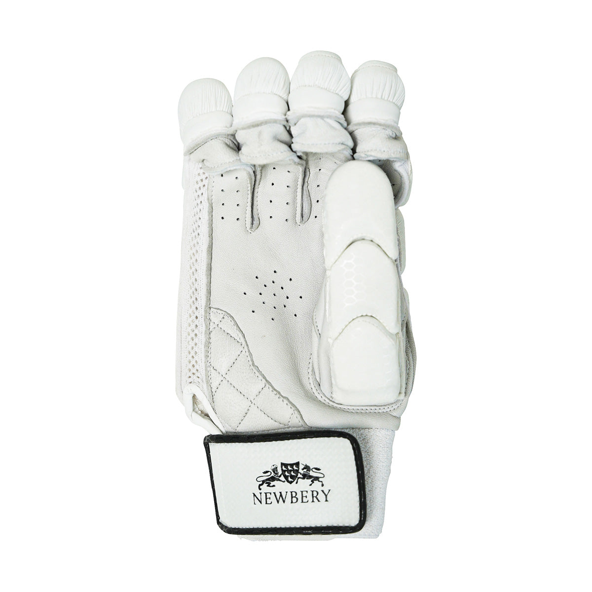 Newbery Player Cricket Batting Gloves