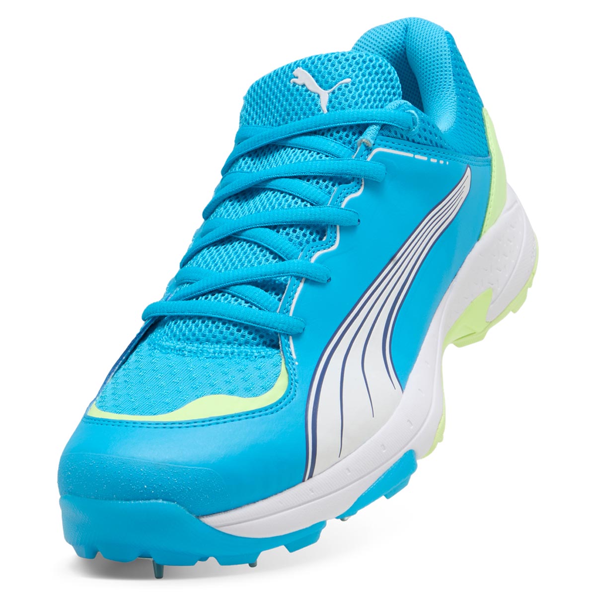 Puma 24.1 Spike Cricket Shoes - 2026