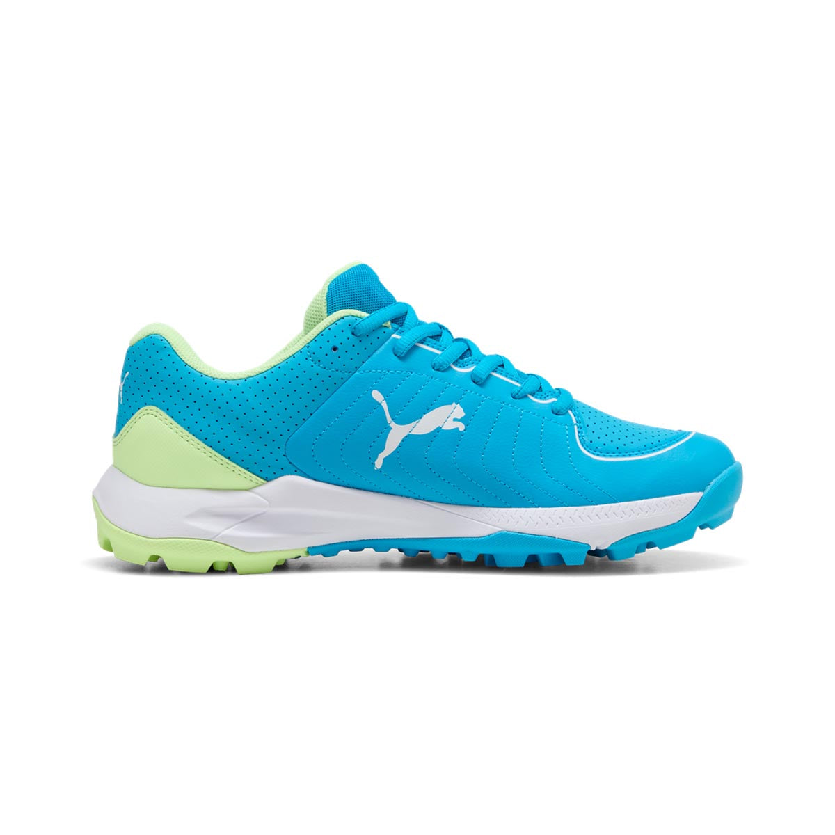 Puma 24 FH Rubber Cricket Shoes - 2026
