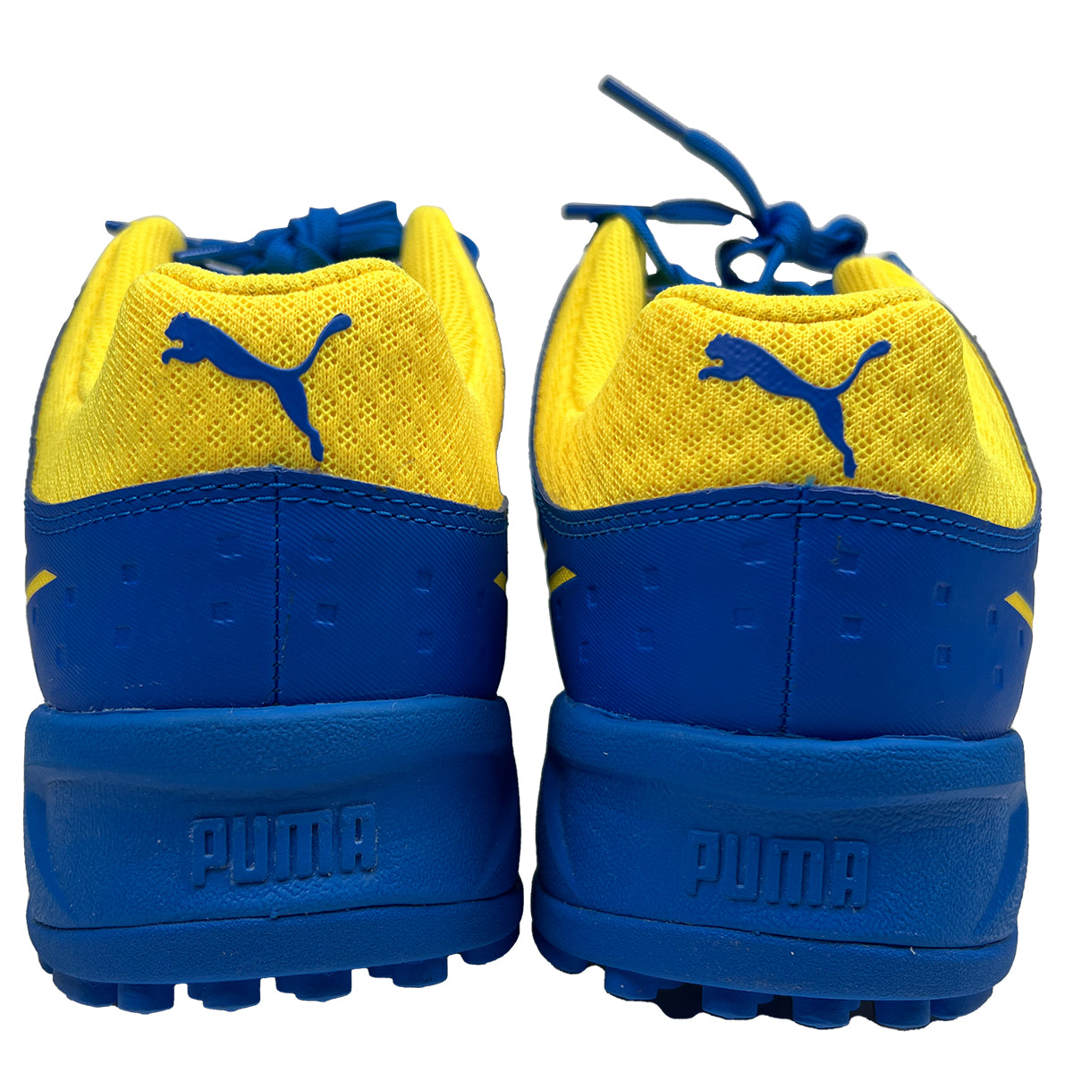 Puma 22.1 Spike Cricket Shoes - 2023