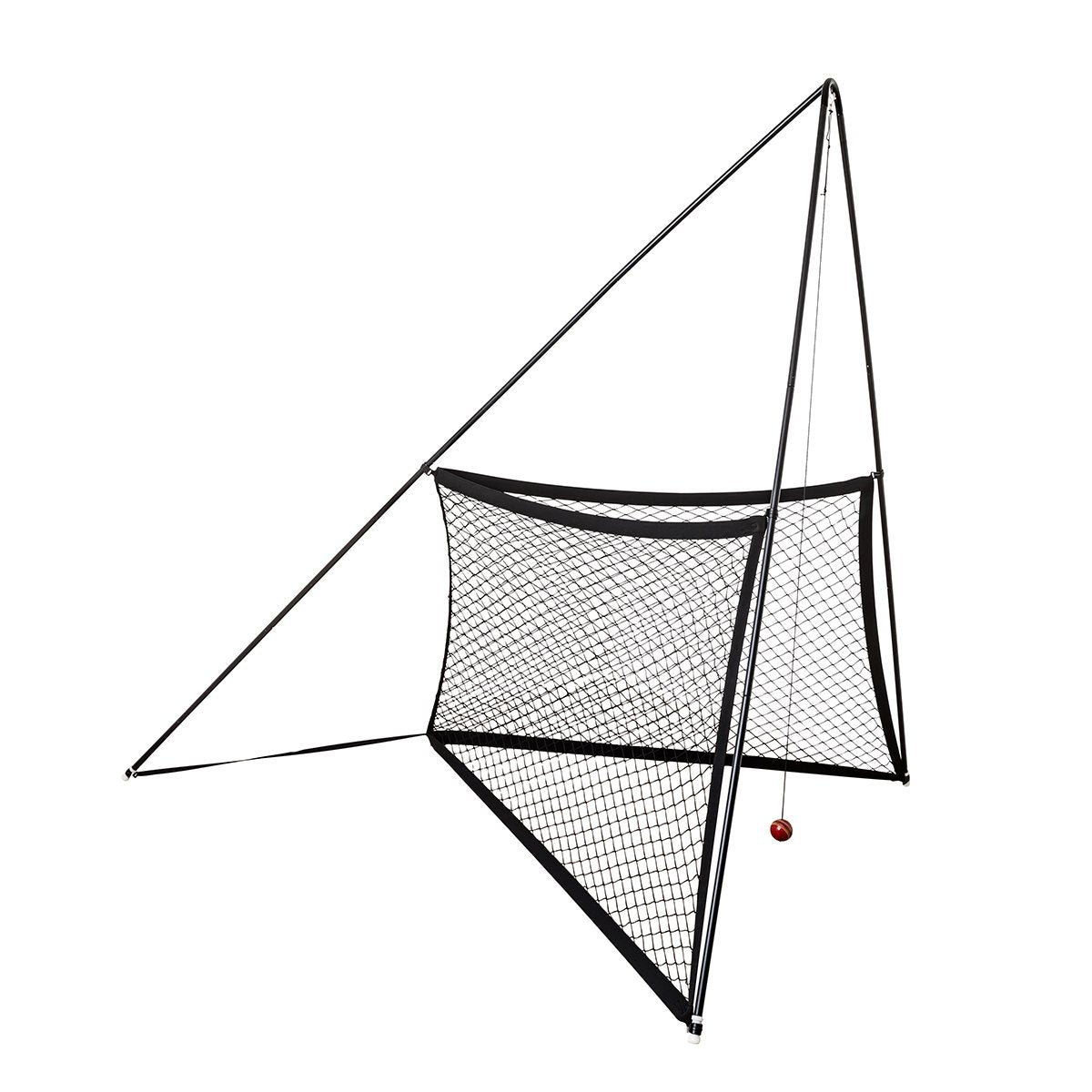 The V Pro Elite Ultimate Training Net