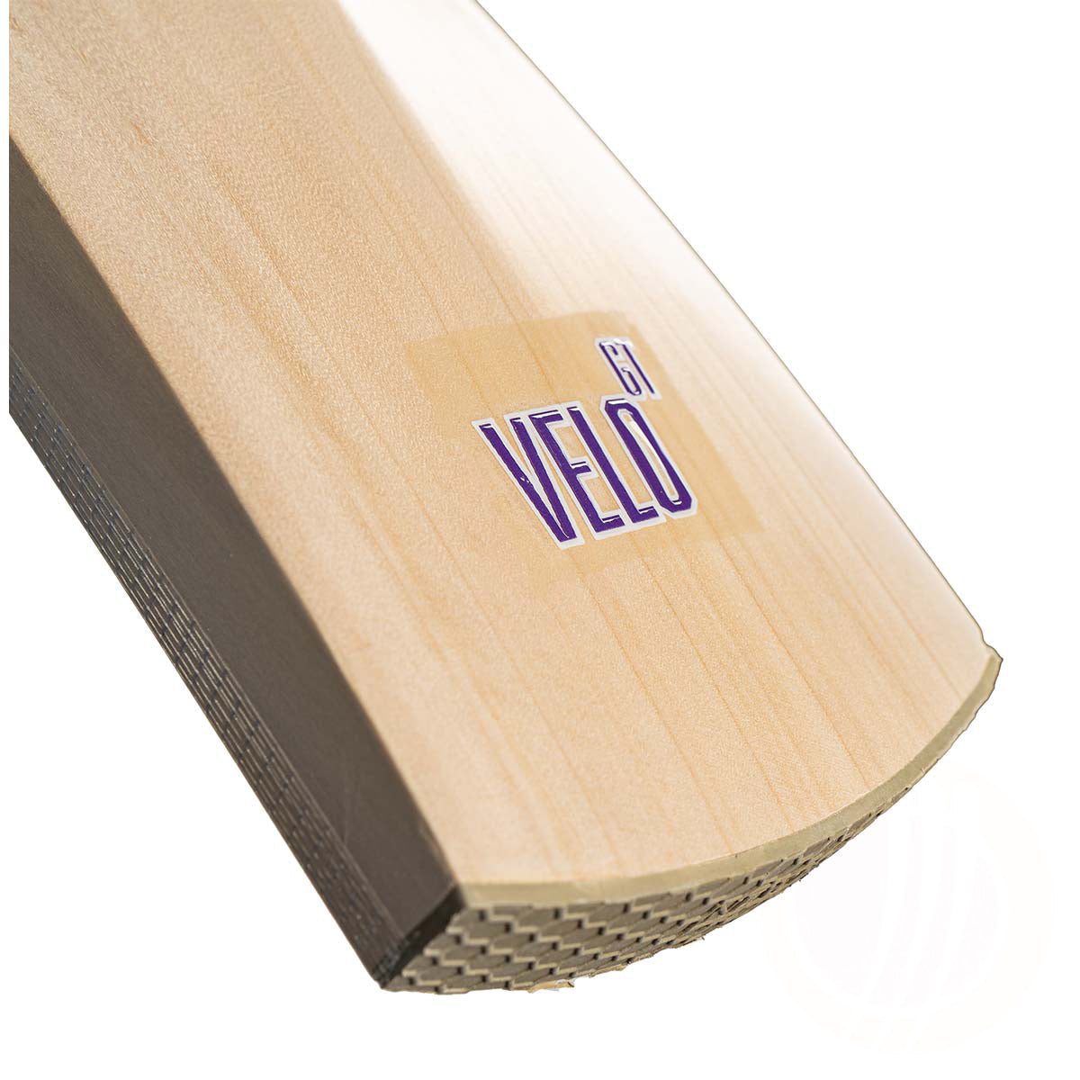 Newbery Velo GT SPS Junior Cricket Bat