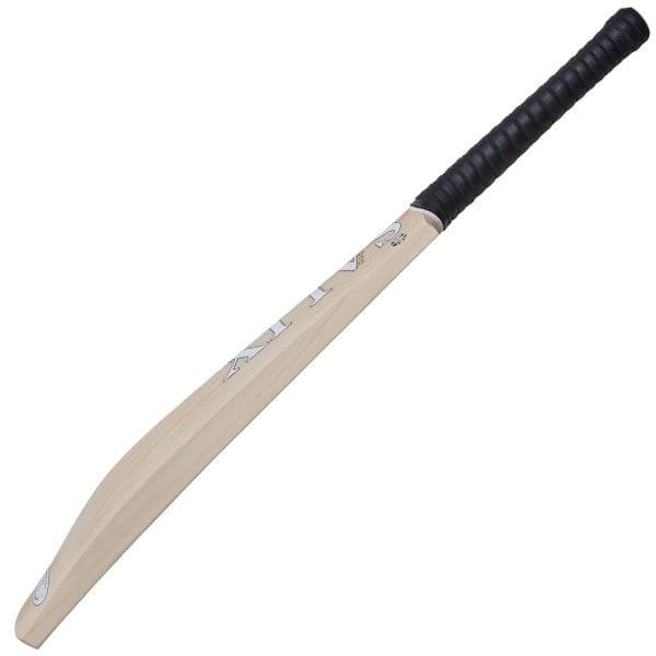 Salix AMP Performance Cricket Bat