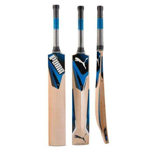 Puma evoPower 1Y Junior Cricket Bat