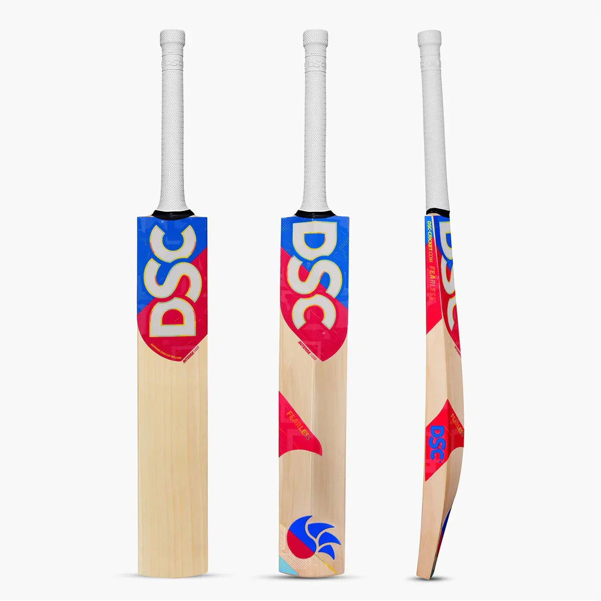 DSC Intense 1000 Cricket Bat