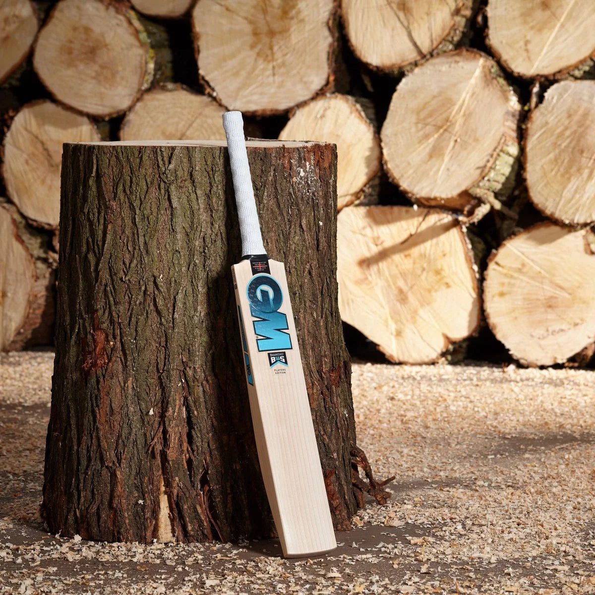 Gunn & Moore Ben Stokes Phase II DXM Players Edition Cricket Bat